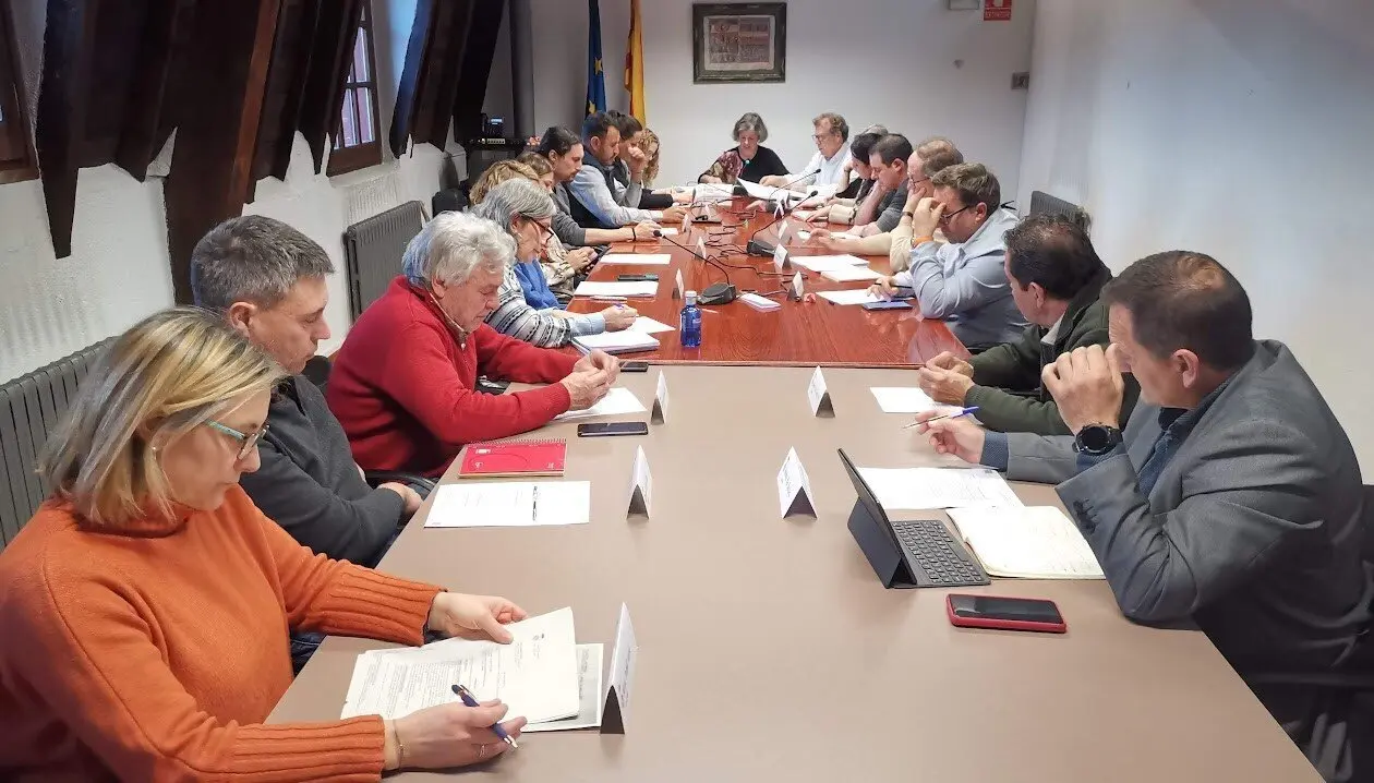 CCAU Ple febrer 2025