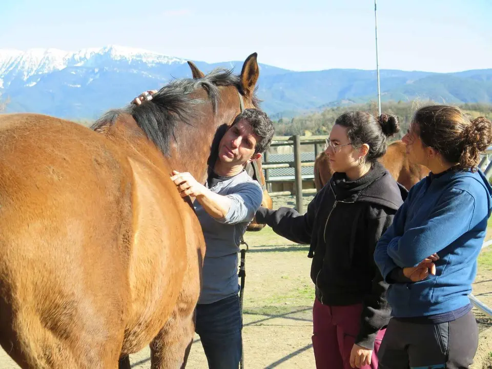 EAP curs activitat equina 1