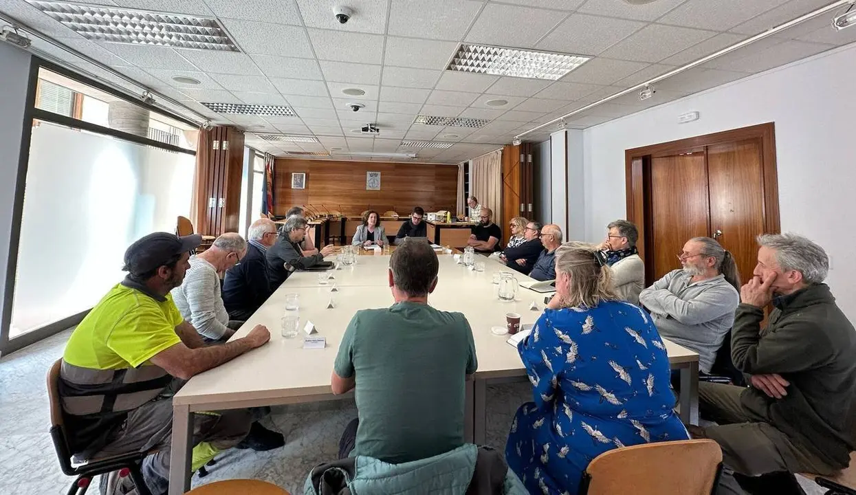 Consell de Territori