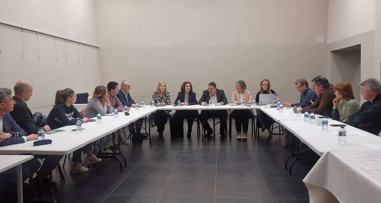 Consell Alcaldes Alt Urgell 4 abril 2025