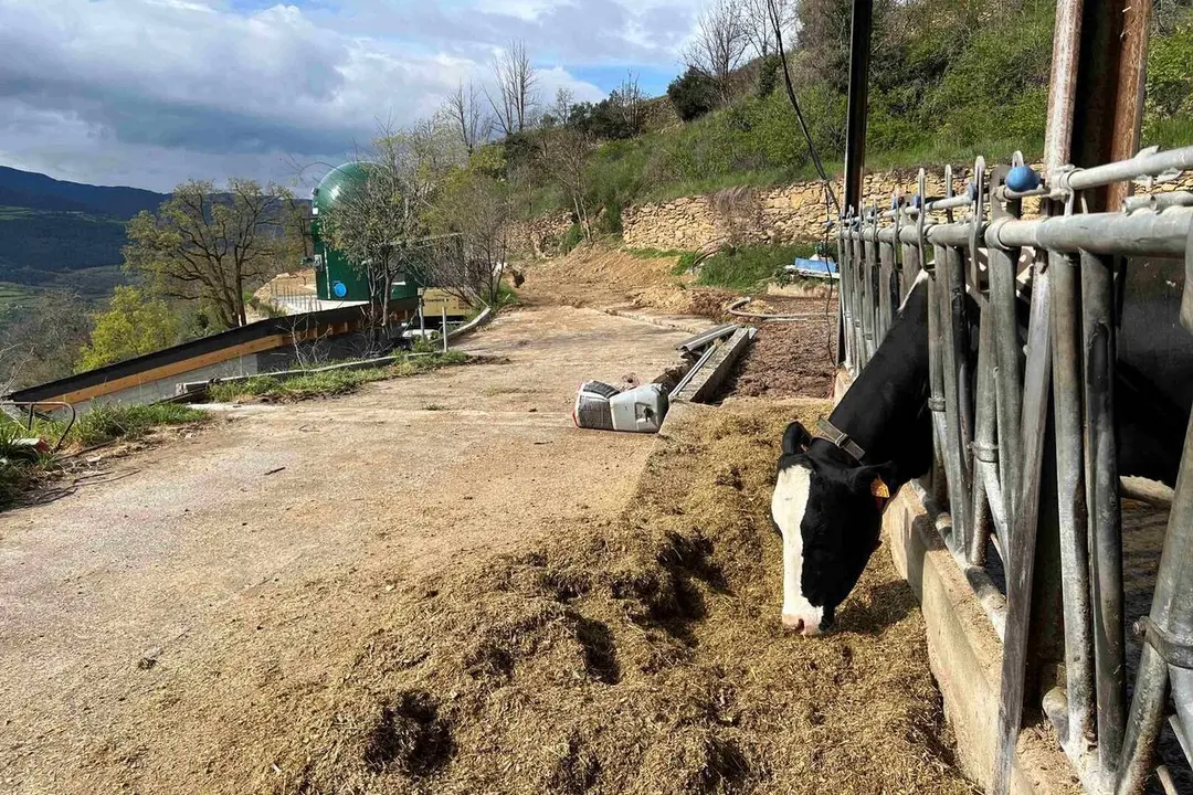 Estamariu biog&agrave;s 1