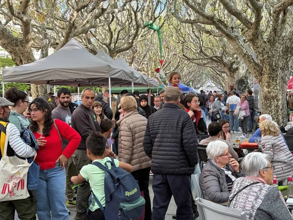 Sant Jordi 2025 FS