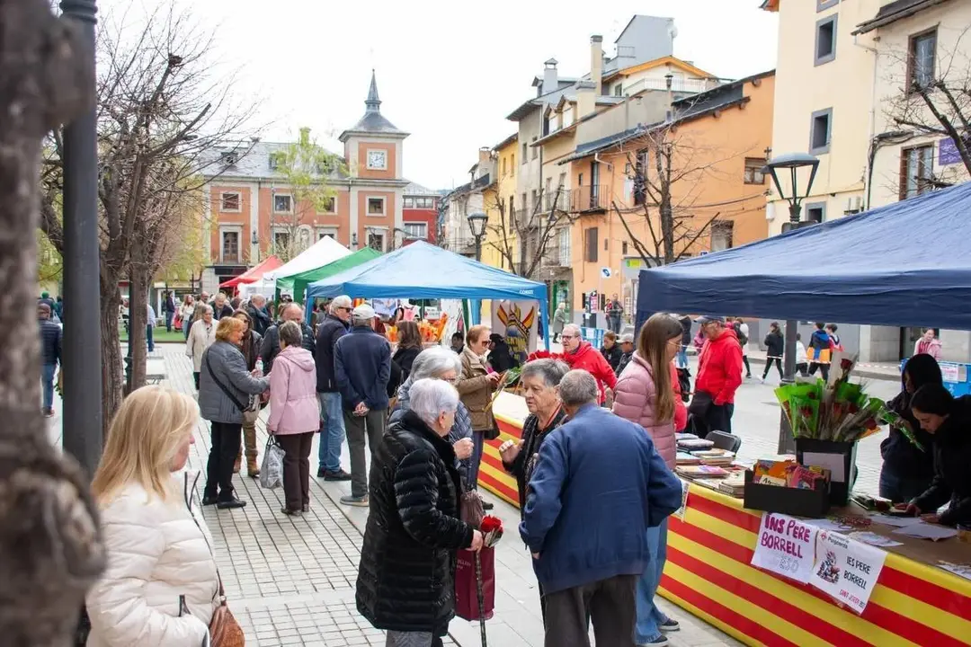 Sant Jordi 2025 Puigcerd&agrave;