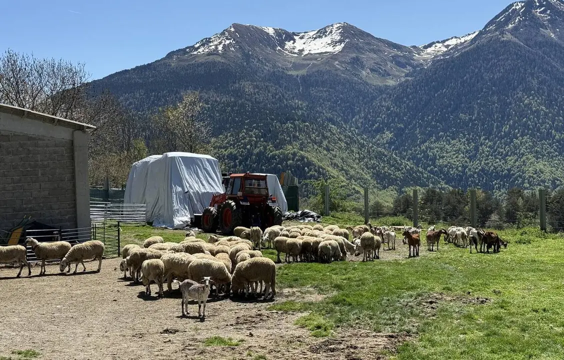 Ramat Vilam&ograve;s Aran 1