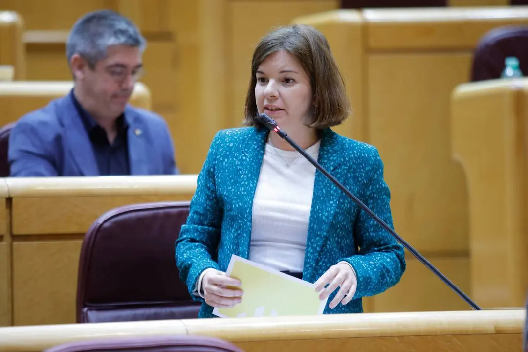 Sara Bailac, durant una intervencio al Senat