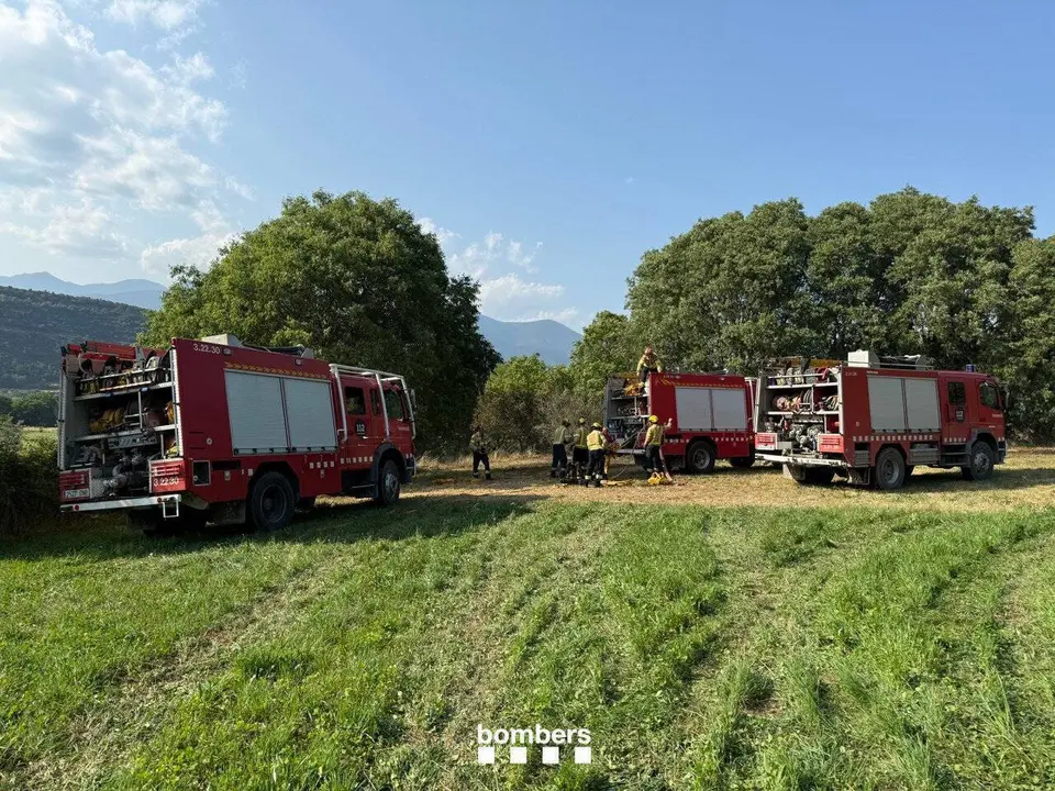Incendi forestal Arfa