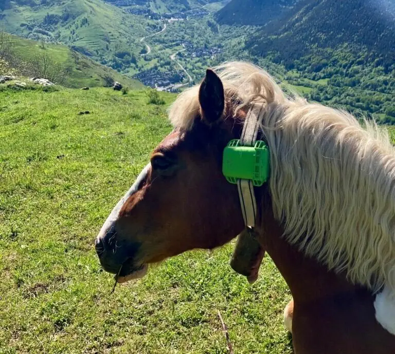 contr&ograve;l GPS entre es ramad&egrave;rs dera Val d&rsquo;Aran
