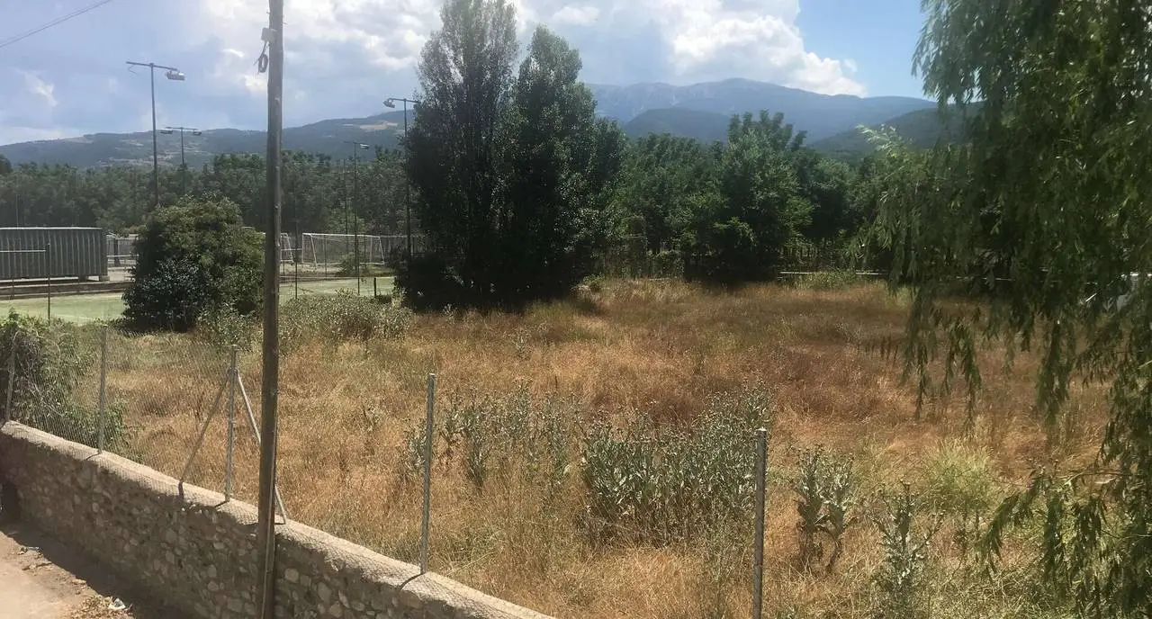 Futbol 7 la Seu 1