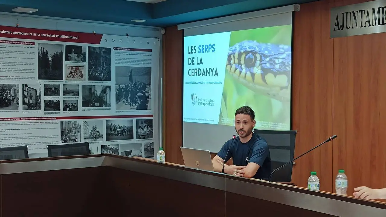 Alejandro_Pa