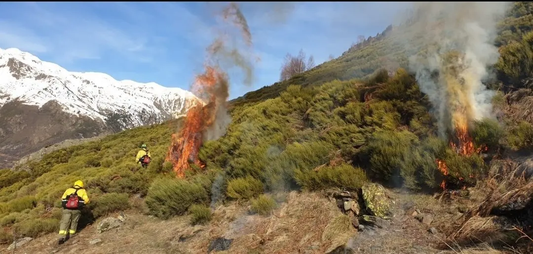Pla de Prevenci&oacute; d&rsquo;Incendis Forestals del Parc Natural Alt Pirineu