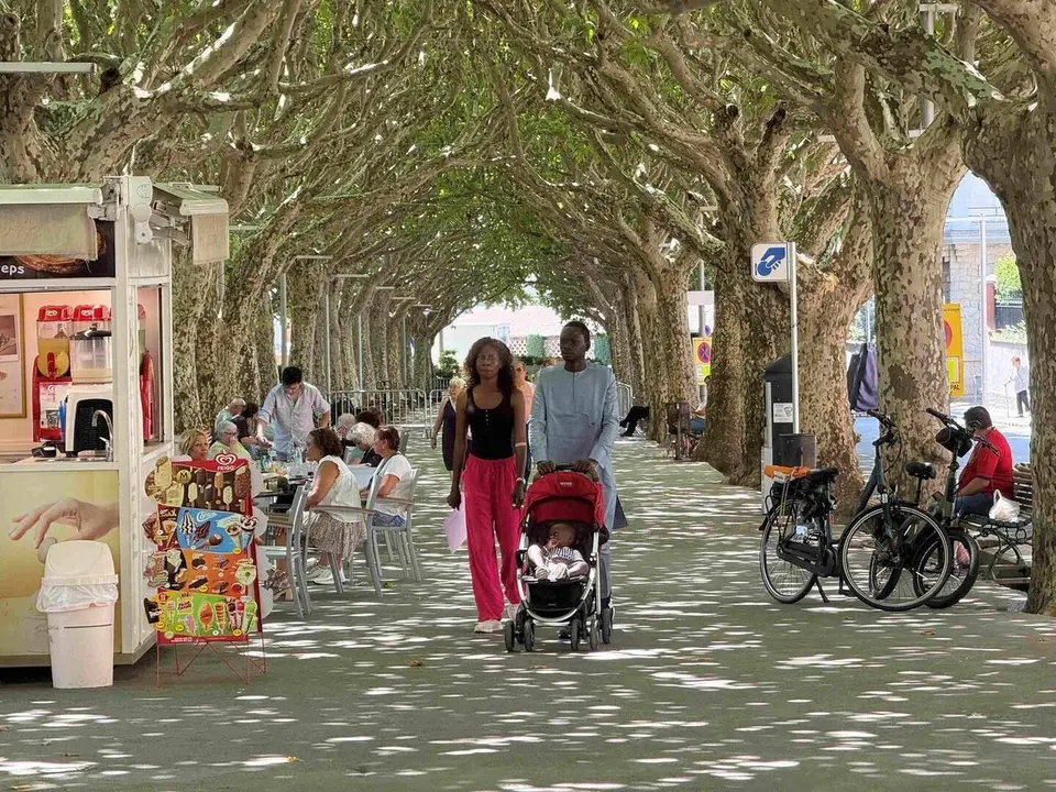 La Seu Passeig Joan Brudieu