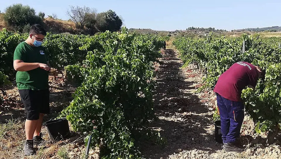 Escoles Agr&agrave;ries  de Catalunya &copy;EA