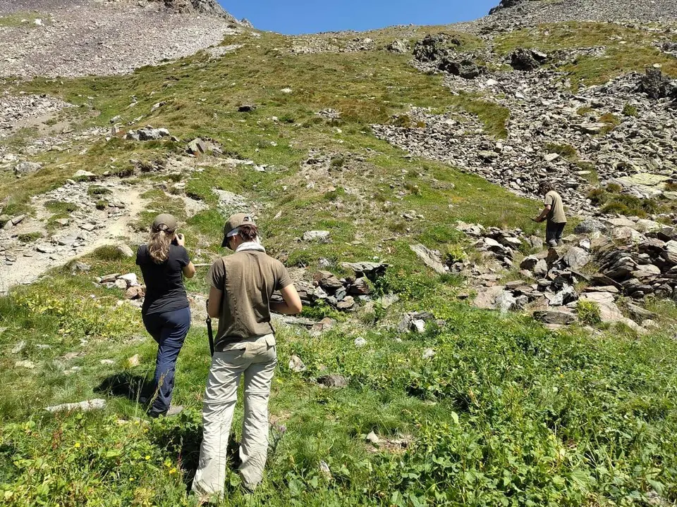 Ordino arqueologia