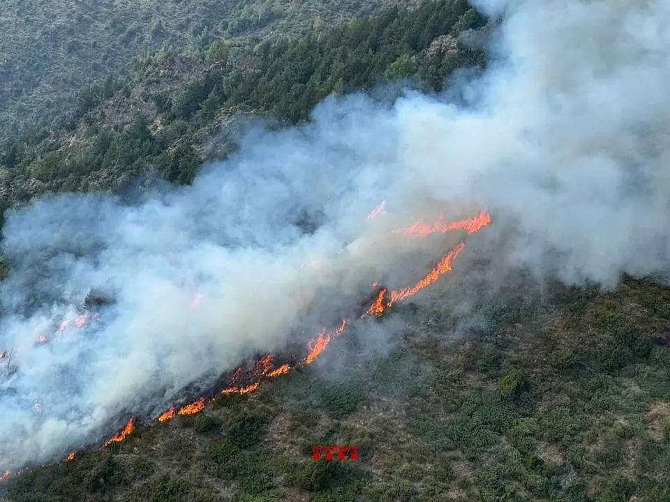 Incendi bosc d'Alins