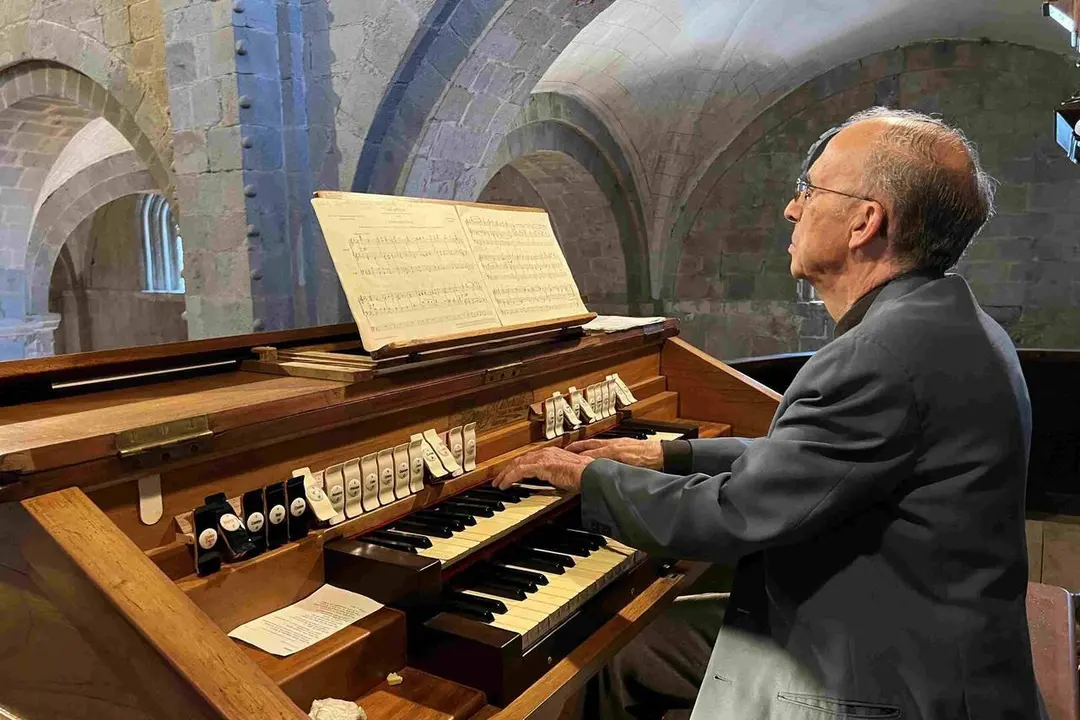 Orgue catedral la Seu 1