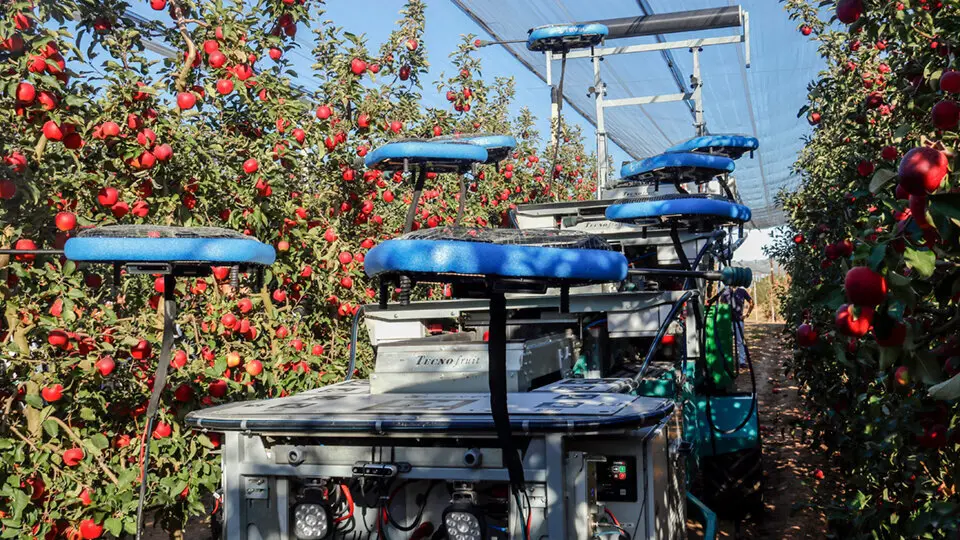 Robot de recol&middot;lecci&oacute; de fruita &copy;AgroLab