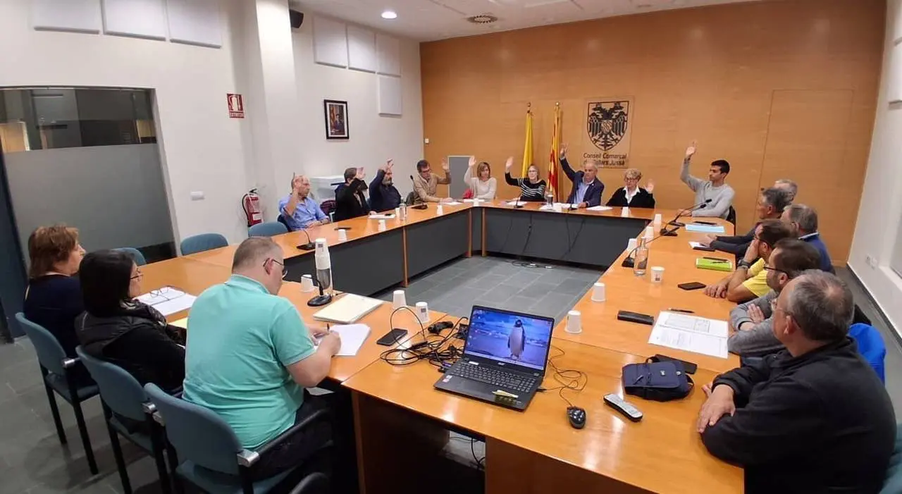ple consell PJussa (1)