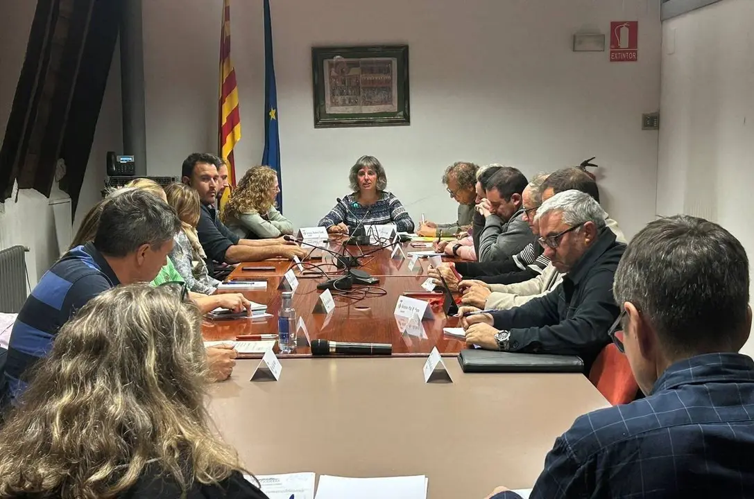 Ple Consell Comarcal Alt Urgell 6 novembre 2025