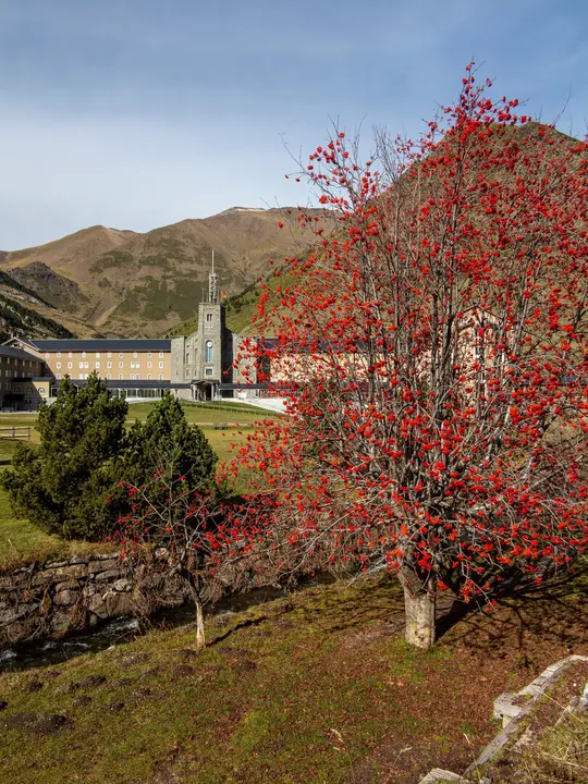 _H8G1172-anguera (8) (1)