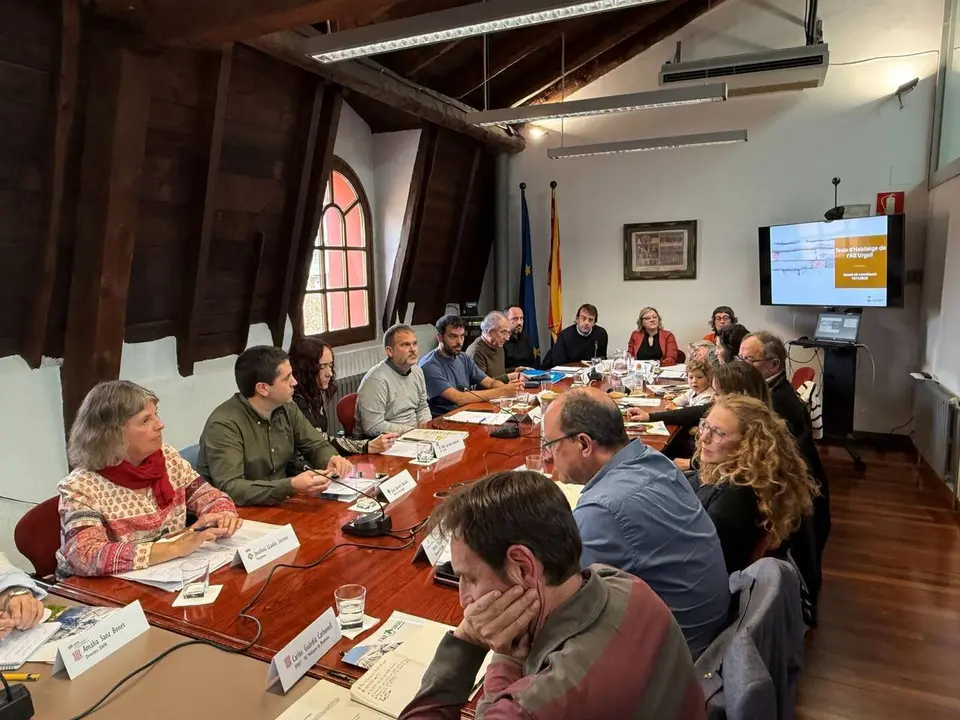 Taula d'Habitatge de l'Alt Urgell 1