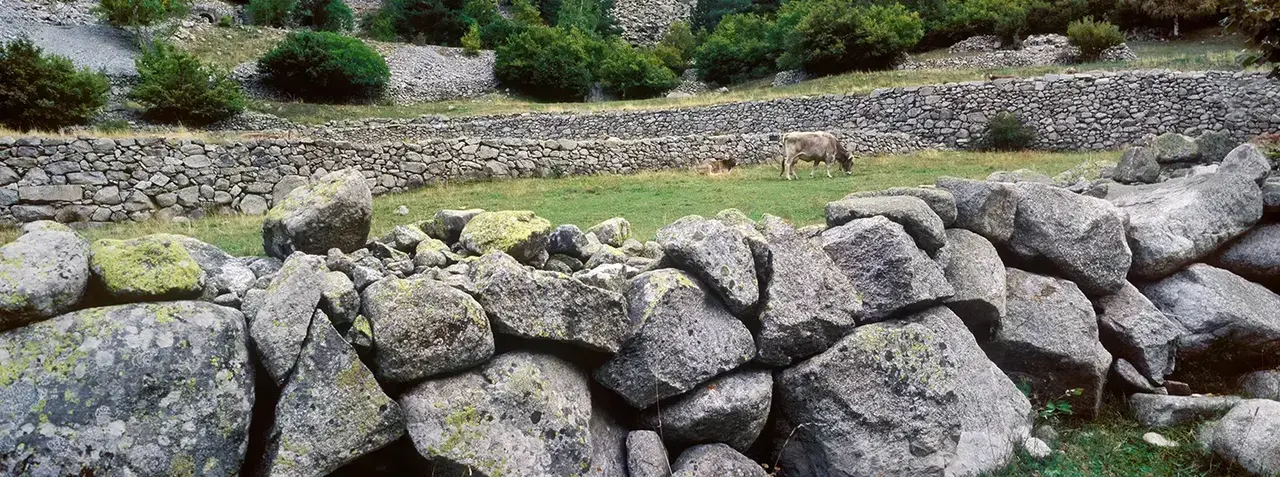 Pedra_seca_bestiar_Ramio Foto &Agrave;lex Tena