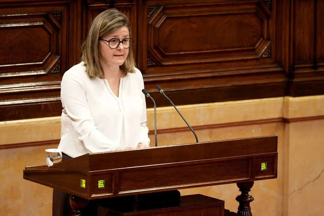 Maria Verg&eacute;s Compareixen&ccedil;a al Parlament 1