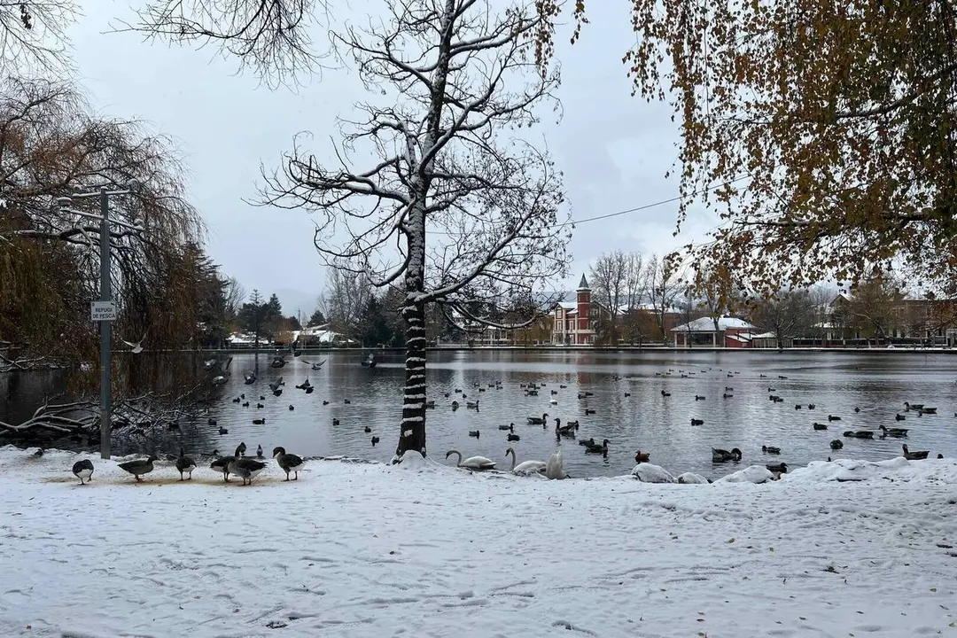 Nevada estany de Puigcerd&agrave; 21 novembre 