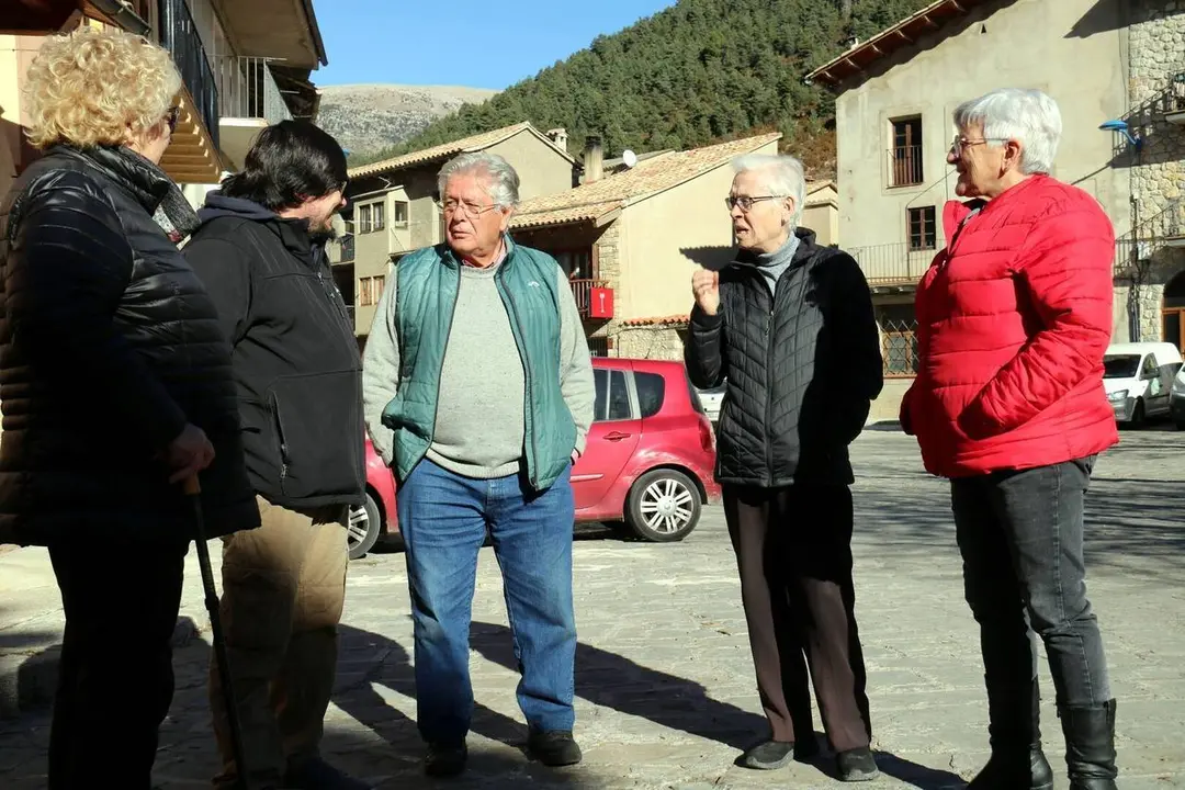 G&oacute;sol consulta 1
