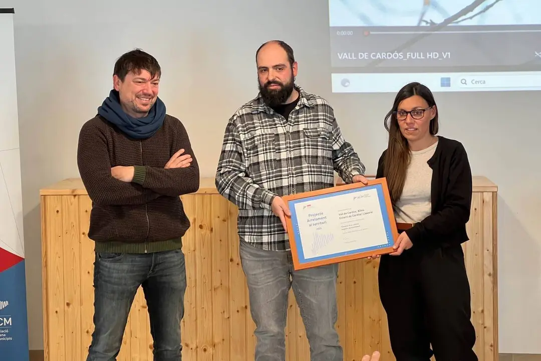 Biomassa Pallars Sobir&agrave;