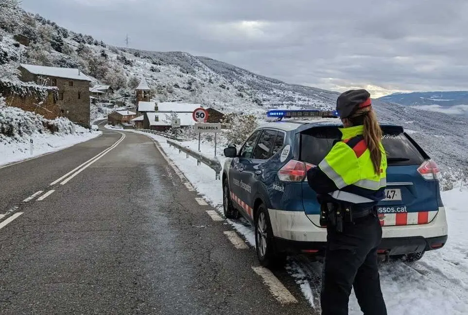 Mossos neu