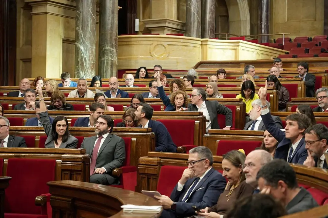 Parlament llei reconeixement Aran