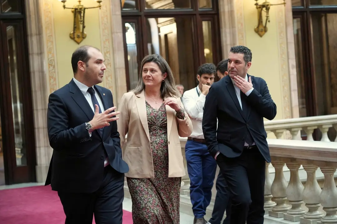 Aran Llei singularitat 1