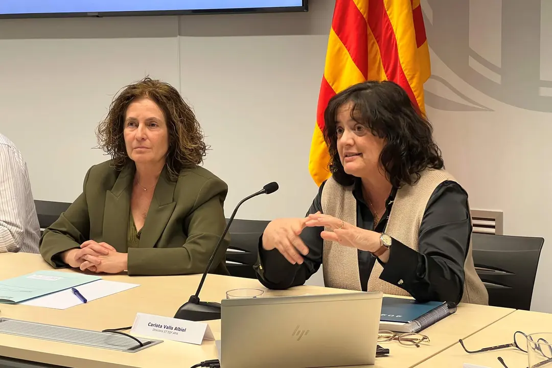 Consell Escolar Territorial Alt Pirineu i Aran 1