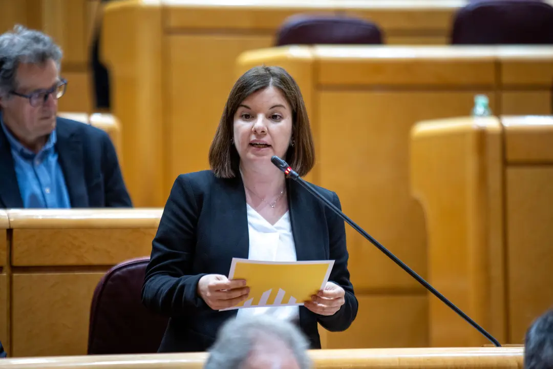 La senadora republicana Sara Bailac durant una intervenci&oacute; (1)