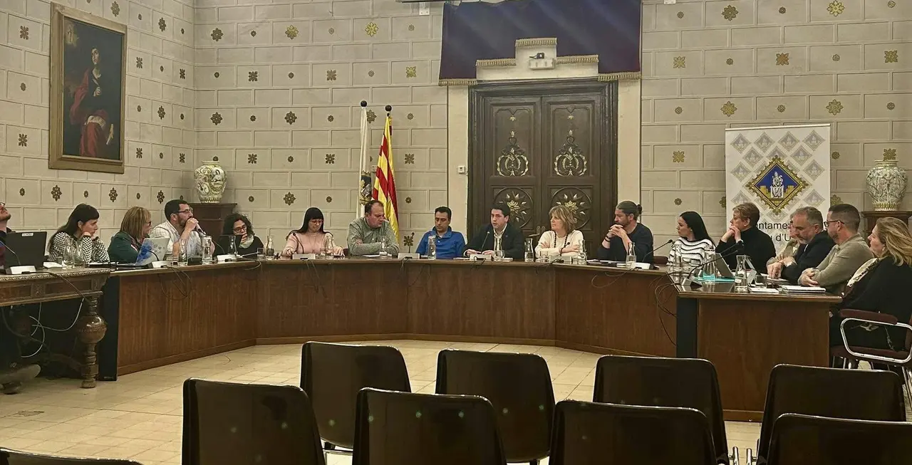 Ple extraordinari de pressupostos R&Acirc;DIO SEU