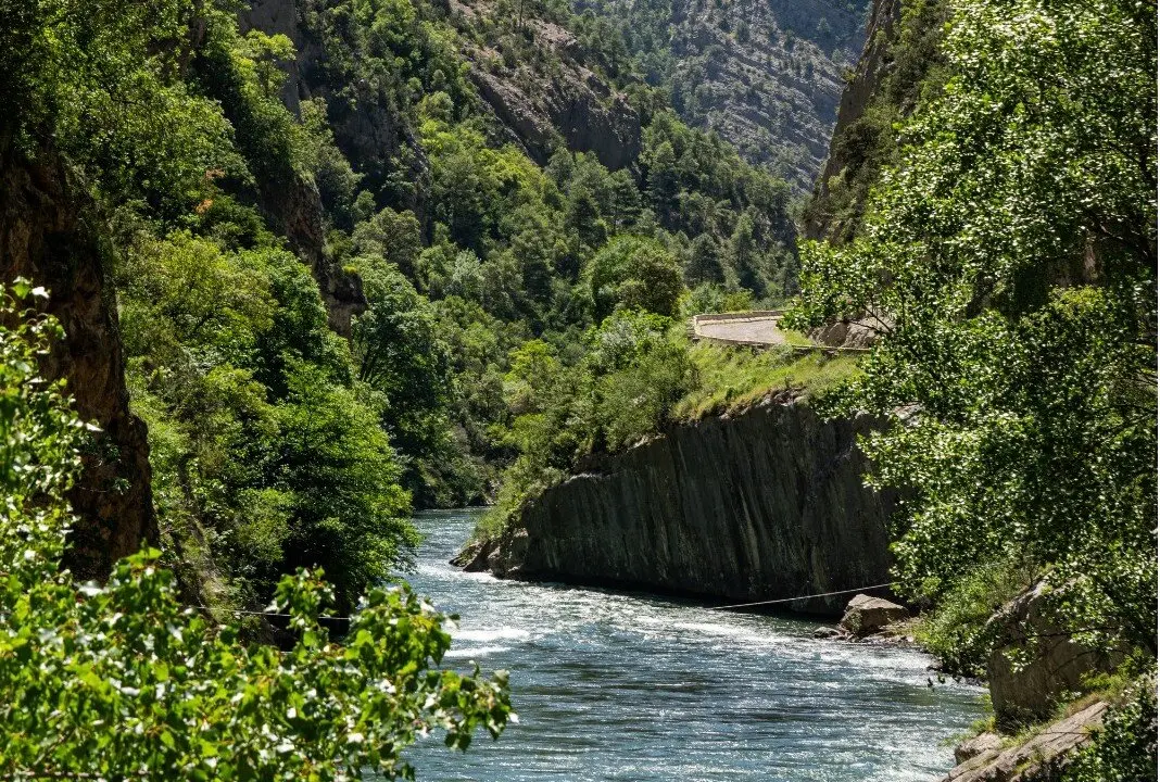Noguera Pallaresa Collegats