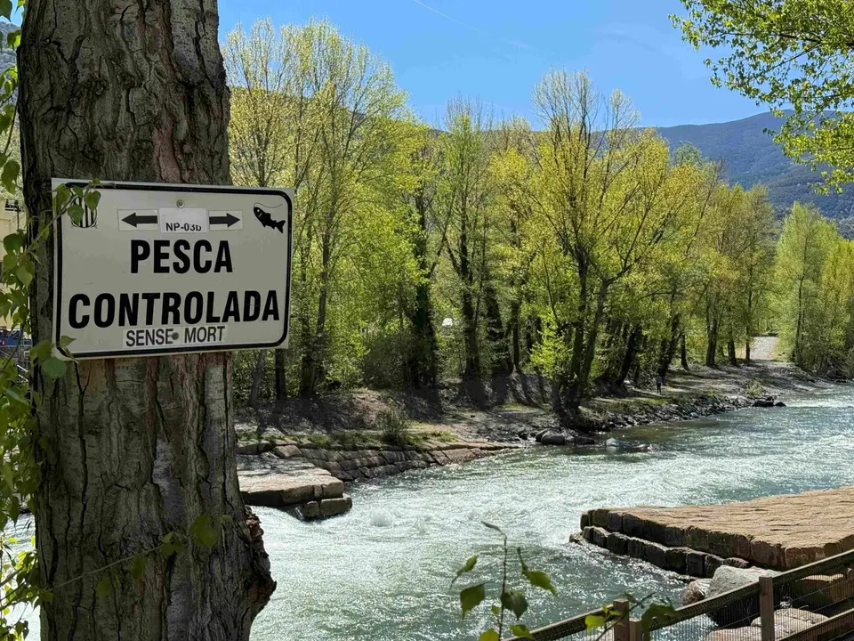 Pesca desgel 1