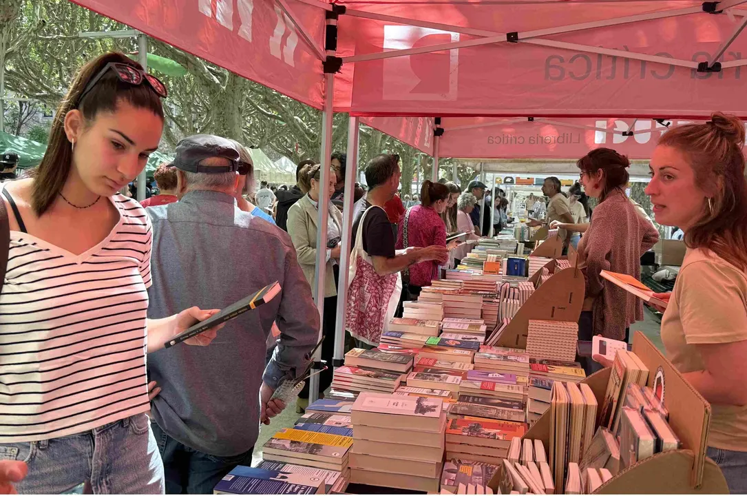 Sant Jordi 2026 la Seu 3