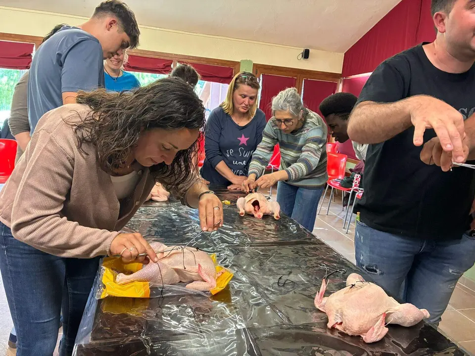 EA Pallars formaci&oacute; veterin&agrave;ria 2
