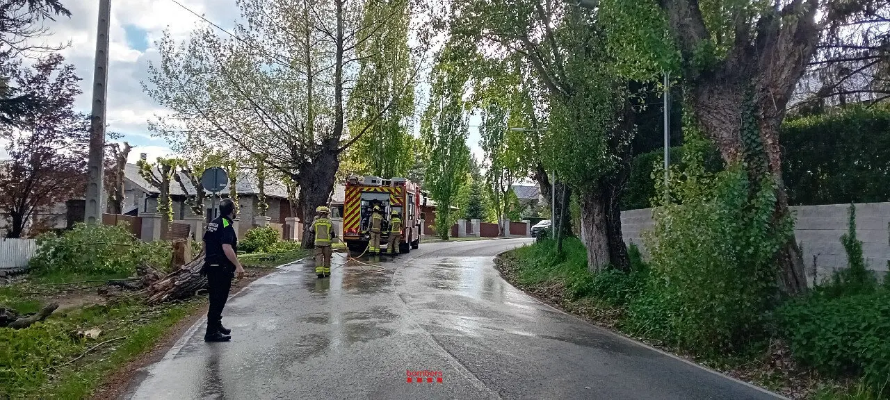 Arbre Puigcerd&agrave; Bombers