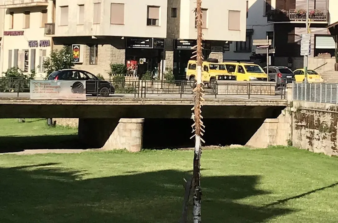 Plantada Falla Major de Sort 2