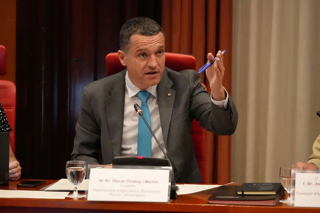 Ordeig pressupostos 1