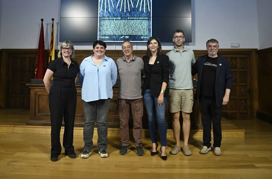 35a edici&oacute; Dansaneu 4