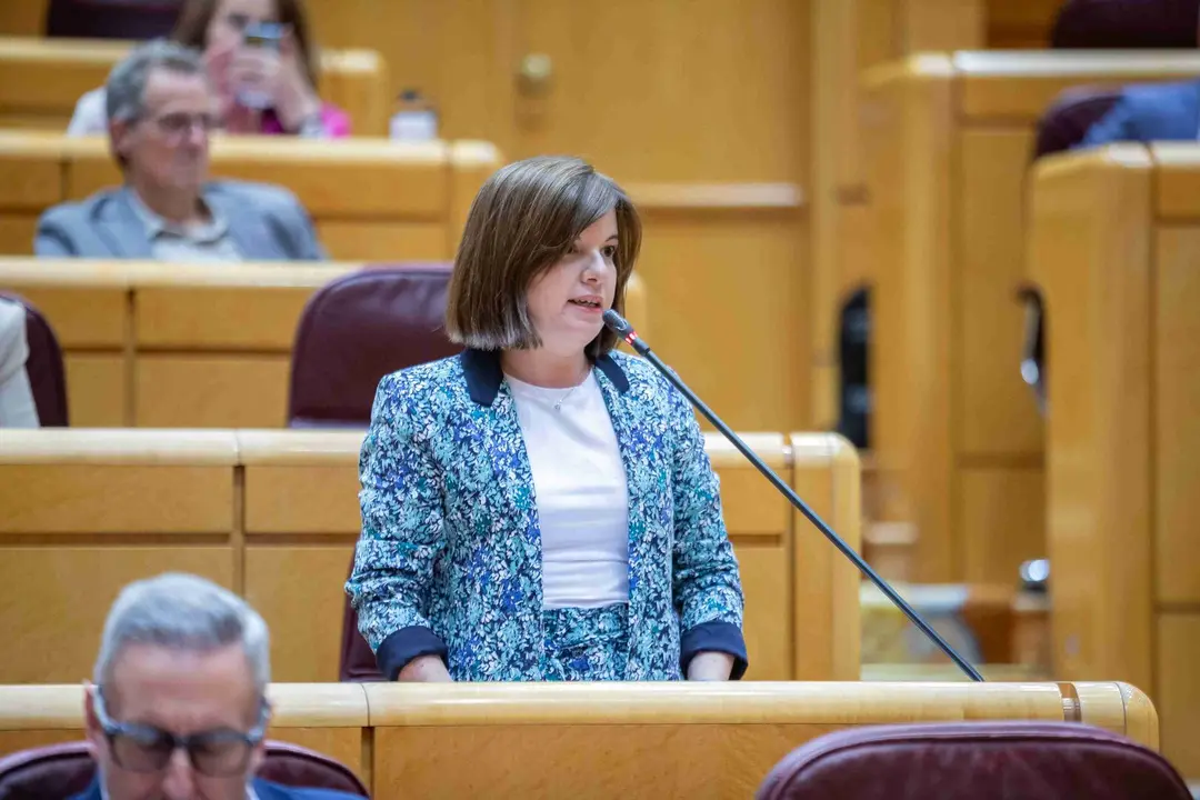La senadora Sara Bailac durant una intervenci&oacute; al ple