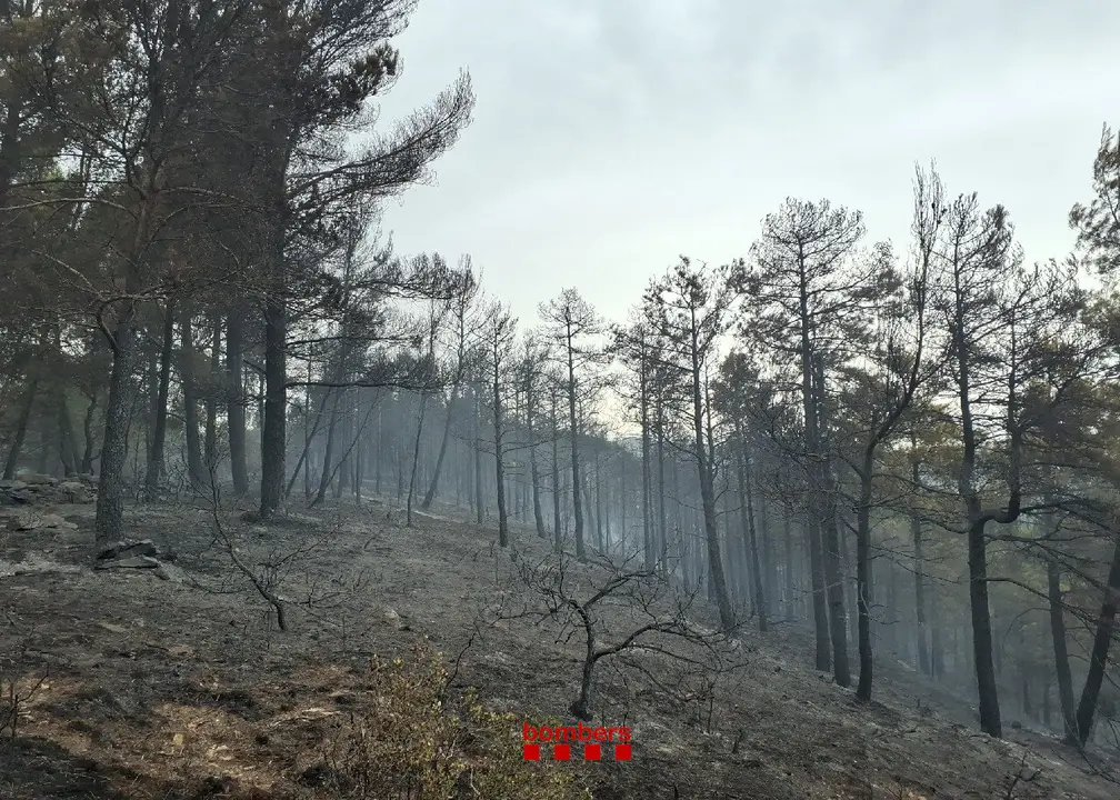 Incendi Talarn