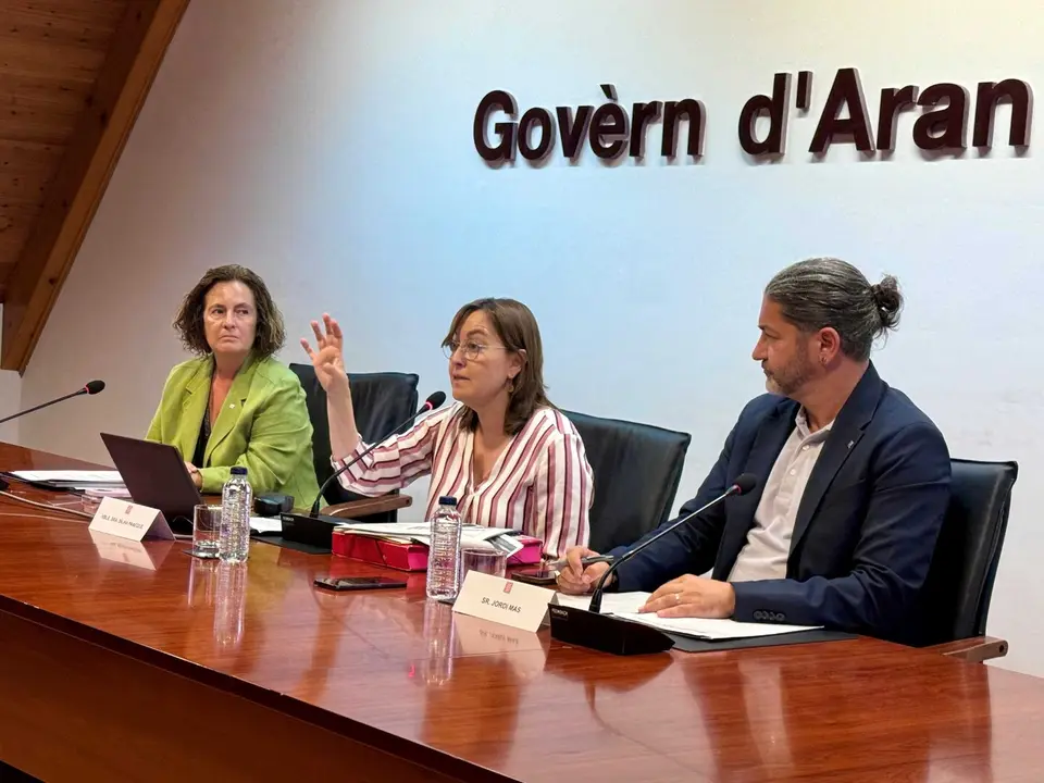 Consell rector IDAPA Aran 1