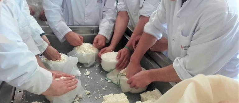 Alumnes de l'Escola Agrària del Pallars elaborant formatges, en una imatge d'arxiu. (Horitzontal) 