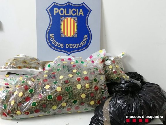 Pla de detall de les bosses de marihuana que els Mossos d'Esquadra van localitzar el 6 d'octubre a l'interior d'un vehicle al Pont de Suert. (horitzontal)