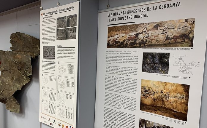 Grapats rupestres de la Cerdanya Exposició