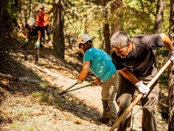 Pla general de voluntaris treballant al bosc l'estiu del 2020. (horitzontal)